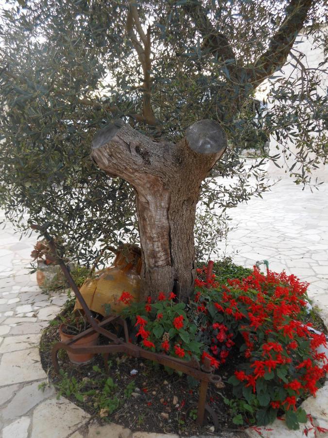 Agli Antichi Trulli In Masseria Bed & Breakfast *